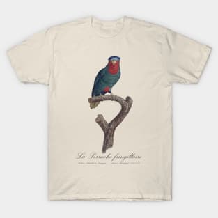 La Perruche Fringillaire Parakeet - Jacques Barraband 19th century Illustration T-Shirt